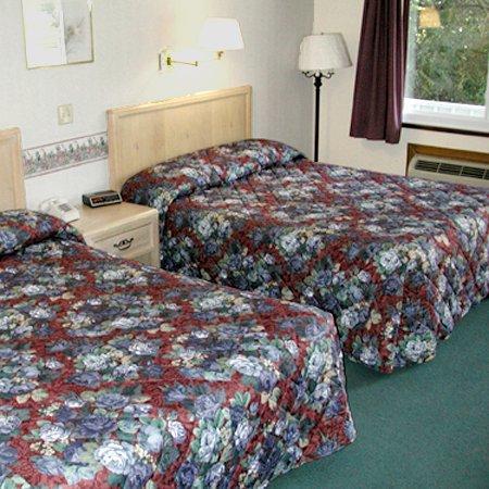 Lyn Aire Motel - Озеро Джордж Номер фото